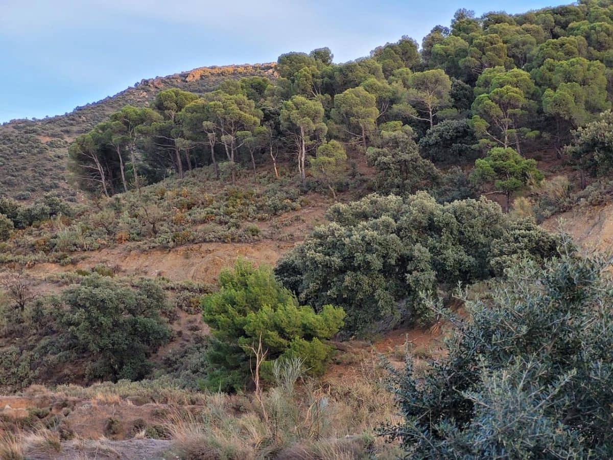 6 soveværelse Finca/Landehus til salg i Tabernas - € 615.000 (Ref: 7957040)