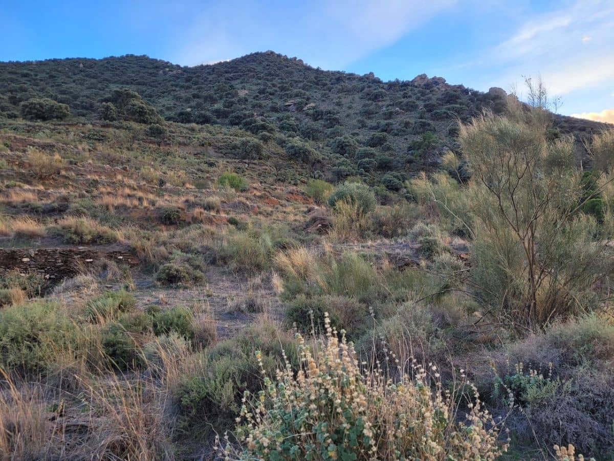 6 soveværelse Finca/Landehus til salg i Tabernas - € 615.000 (Ref: 7957040)