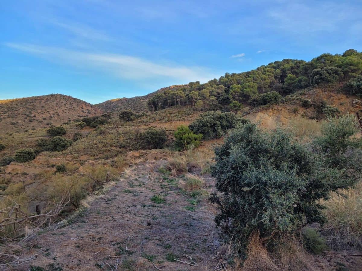 6 soveværelse Finca/Landehus til salg i Tabernas - € 615.000 (Ref: 7957040)