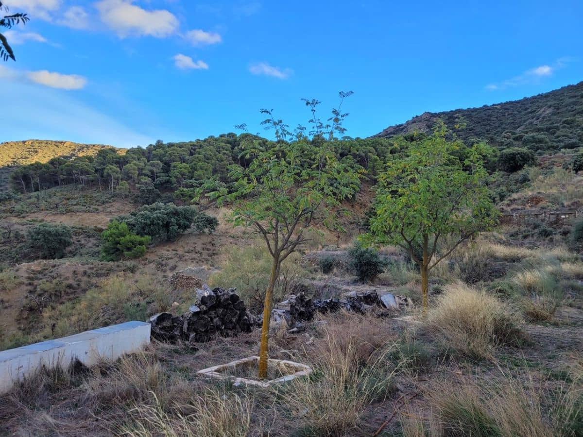 6 soveværelse Finca/Landehus til salg i Tabernas - € 615.000 (Ref: 7957040)