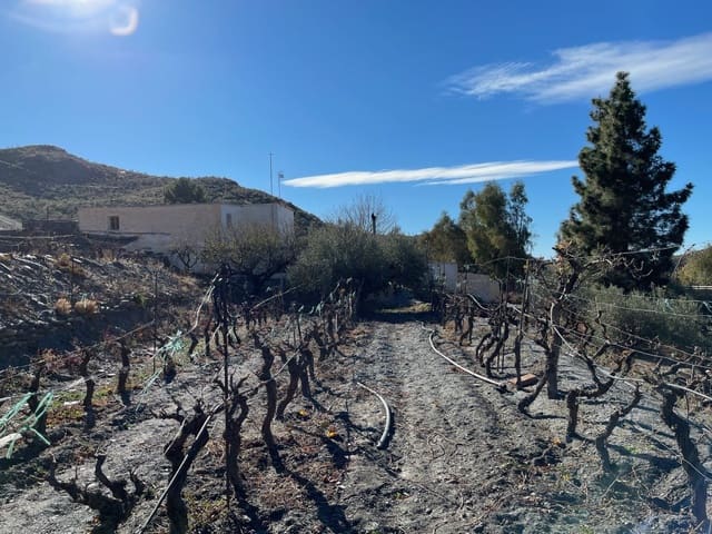 6 slaapkamer Finca/Landhuis te koop in Senés met garage - € 170.000 (Ref: 8076851)