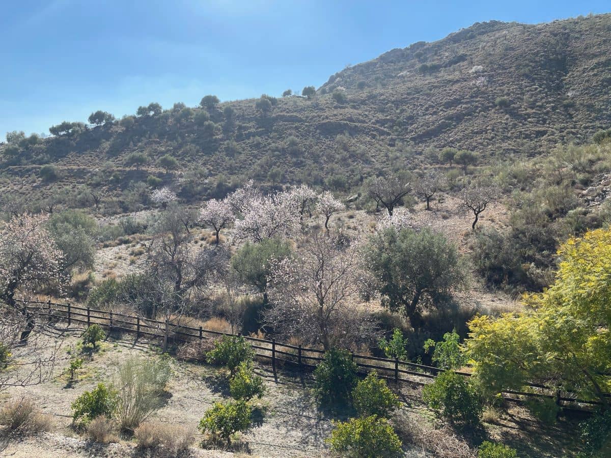 6 soverom Finca/Herregård til salgs i Sorbas - € 550 000 (Ref: 8076852)