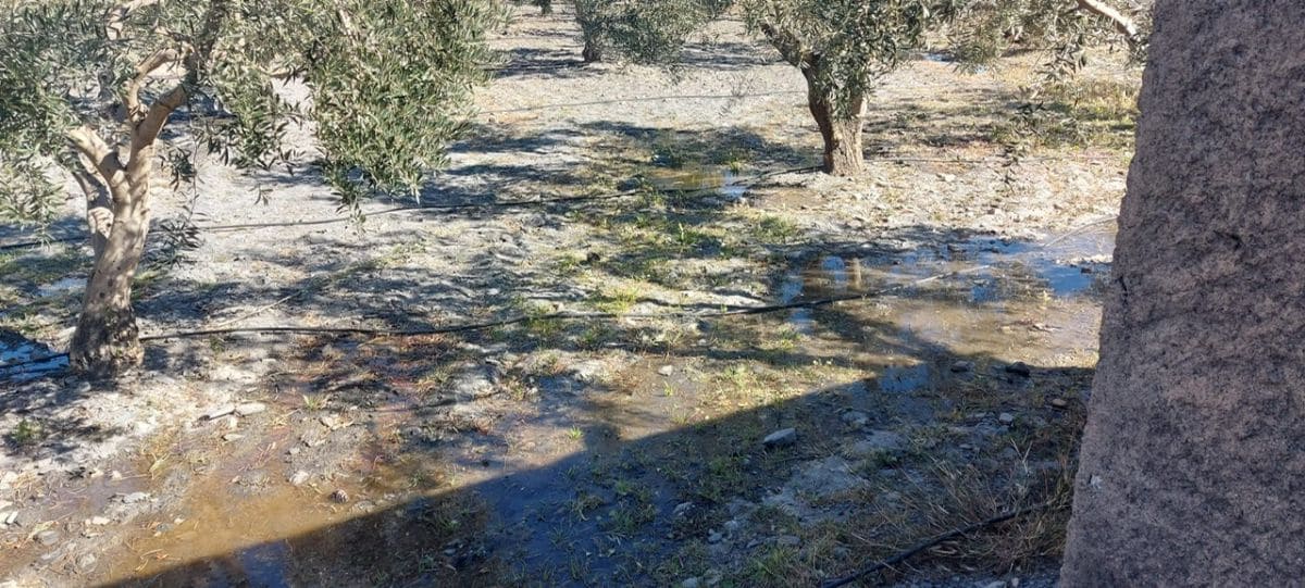 Undeveloped Land for sale in Gergal - € 180,000 (Ref: 8166311)