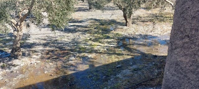 Undeveloped Land for sale in Gérgal - € 180,000 (Ref: 8166311)