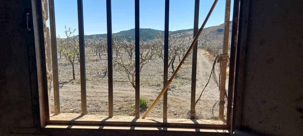 Undeveloped Land for sale in Gergal - € 180,000 (Ref: 8166311)