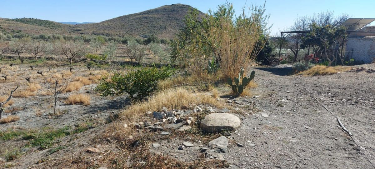 Undeveloped Land for sale in Gergal - € 180,000 (Ref: 8166311)