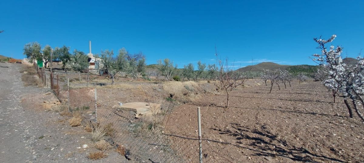 Undeveloped Land for sale in Gergal - € 180,000 (Ref: 8166311)