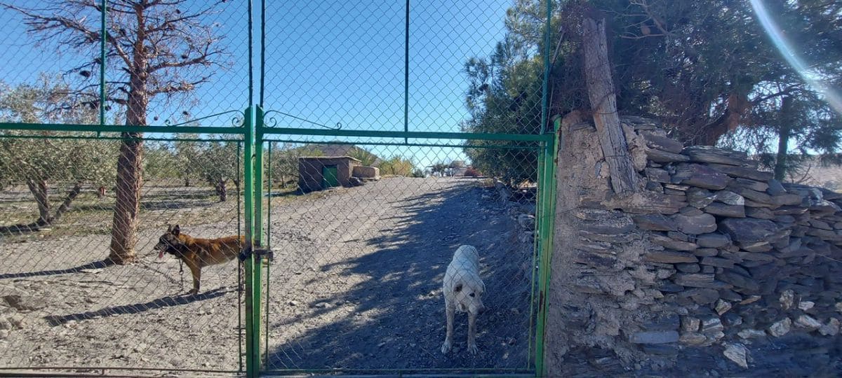 Undeveloped Land for sale in Gergal - € 180,000 (Ref: 8166311)