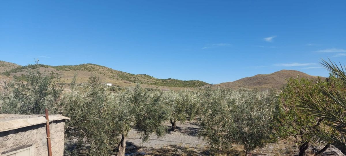 Undeveloped Land for sale in Gergal - € 180,000 (Ref: 8166311)