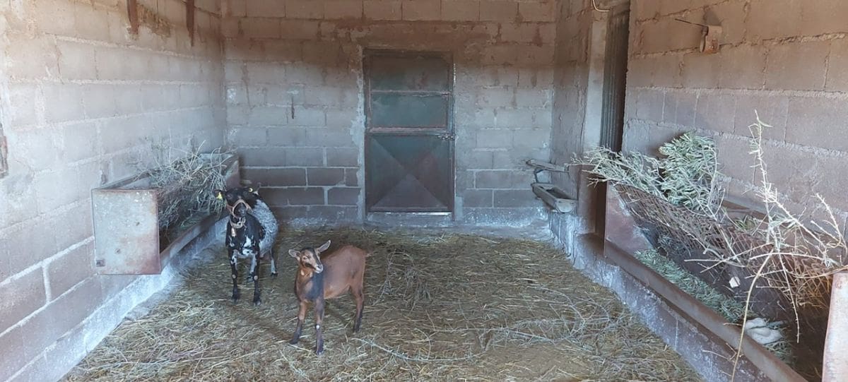 Undeveloped Land for sale in Gergal - € 180,000 (Ref: 8166311)