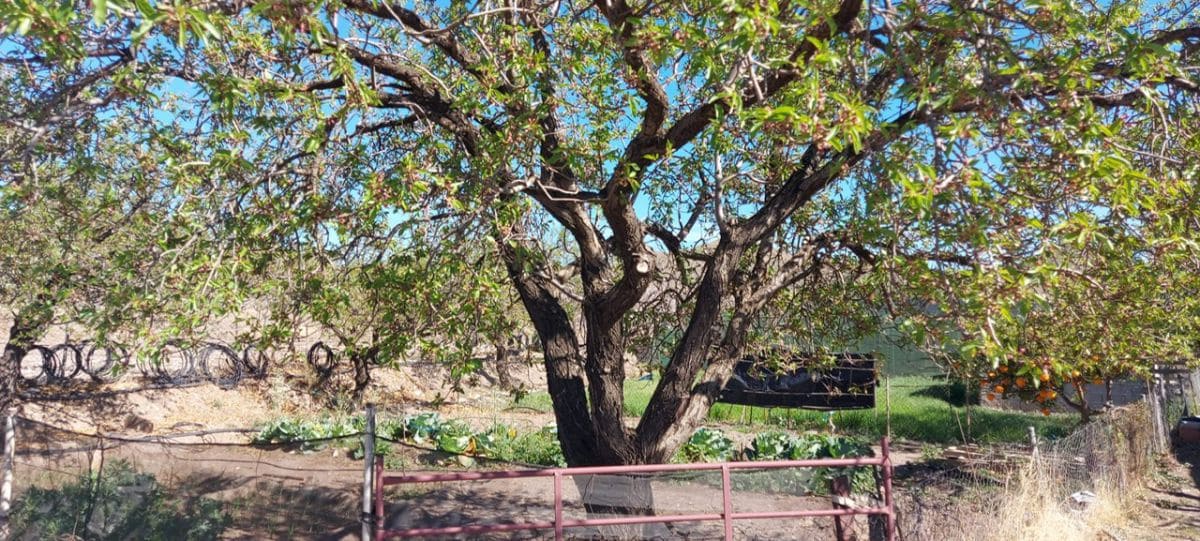 Undeveloped Land for sale in Gergal - € 180,000 (Ref: 8166311)