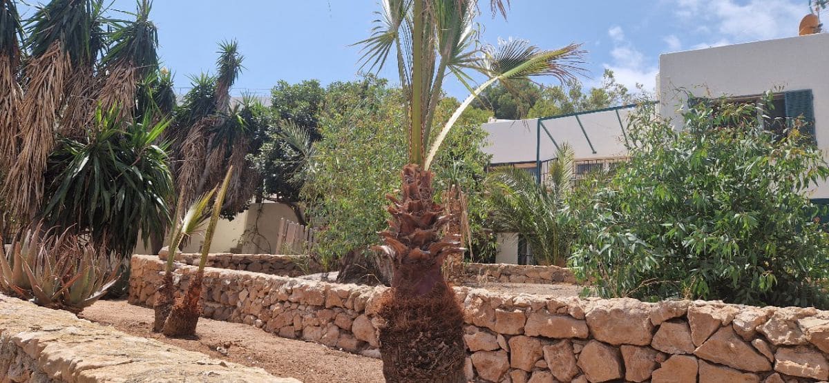 8 camera da letto Casa in vendita in Las Negras - 950.000 € (Rif: 8424913)