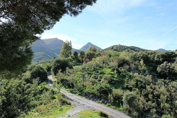 5 soveværelse Finca/Landehus til salg i El Cortijo Grande, Turre - € 400.000 (Ref: 8791958)