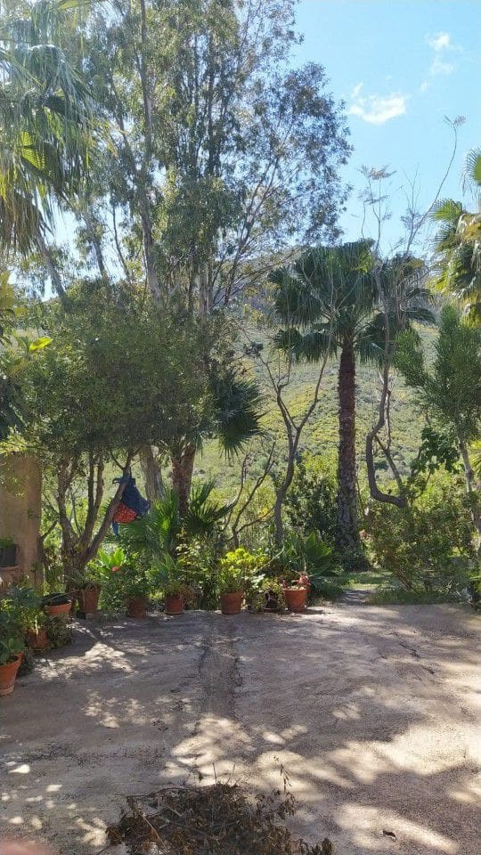 5 soveværelse Finca/Landehus til salg i El Cortijo Grande - € 400.000 (Ref: 8791958)