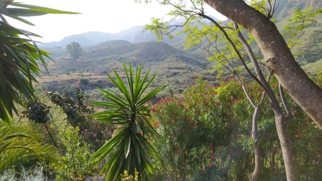 5 soveværelse Finca/Landehus til salg i El Cortijo Grande, Turre - € 400.000 (Ref: 8791958)