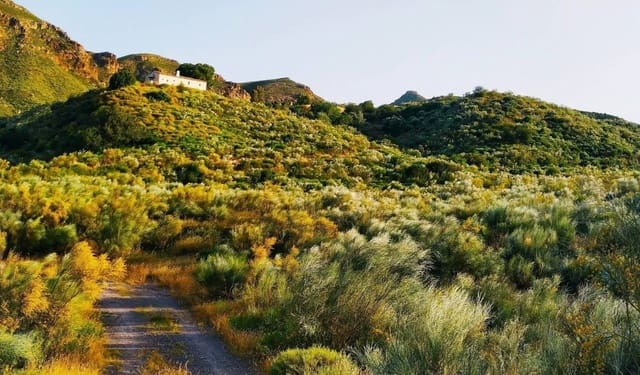 5 soveværelse Finca/Landehus til salg i El Cortijo Grande, Turre - € 400.000 (Ref: 8791958)