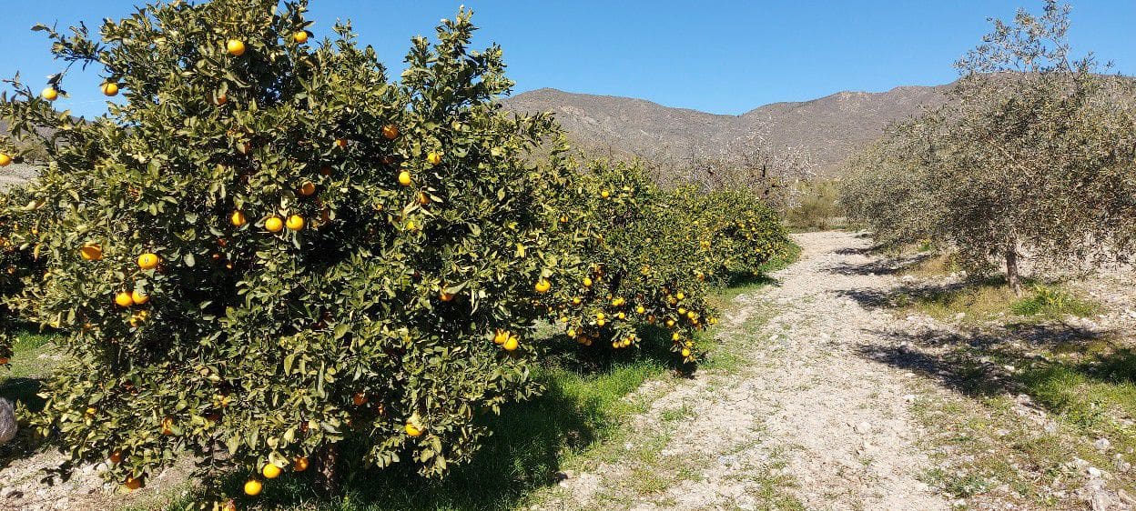 4 soveværelse Finca/Landehus til salg i Sorbas med garage - € 595.000 (Ref: 8860303)