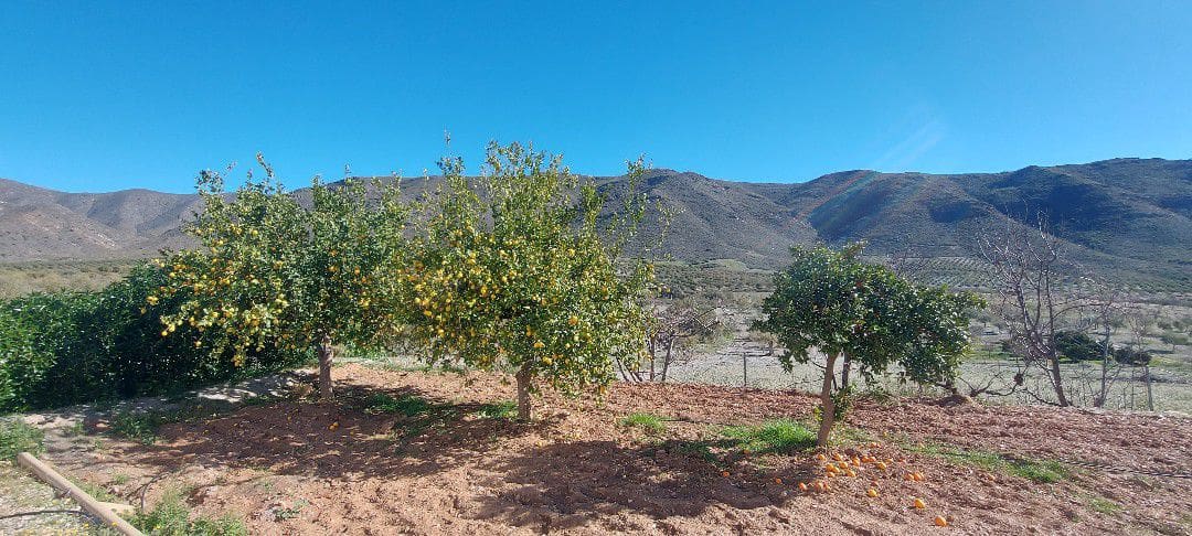 4 soveværelse Finca/Landehus til salg i Sorbas med garage - € 595.000 (Ref: 8860303)