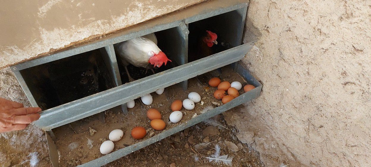 4 soveværelse Finca/Landehus til salg i Sorbas med garage - € 595.000 (Ref: 8860303)