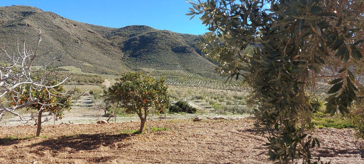 4 soveværelse Finca/Landehus til salg i Sorbas med garage - € 595.000 (Ref: 8860303)