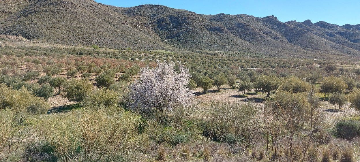 4 soveværelse Finca/Landehus til salg i Sorbas med garage - € 595.000 (Ref: 8860303)