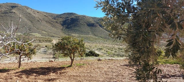 4 Zimmer Finca/Landgut zu verkaufen in Sorbas mit Garage - 595.000 € (Ref: 8860303)