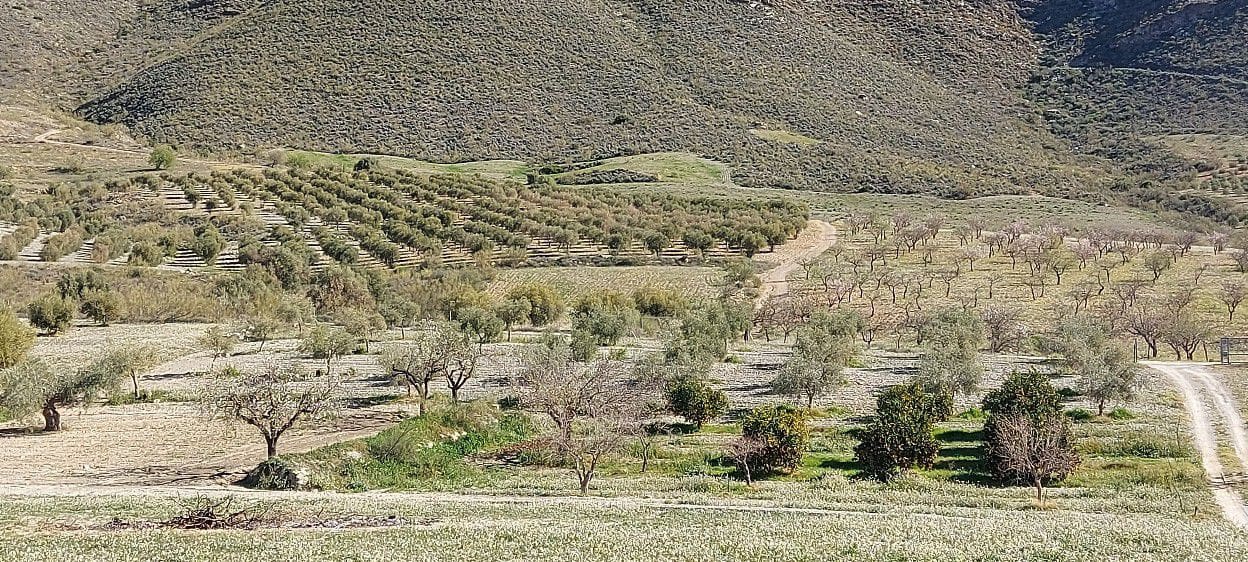 4 soveværelse Finca/Landehus til salg i Sorbas med garage - € 595.000 (Ref: 8860303)