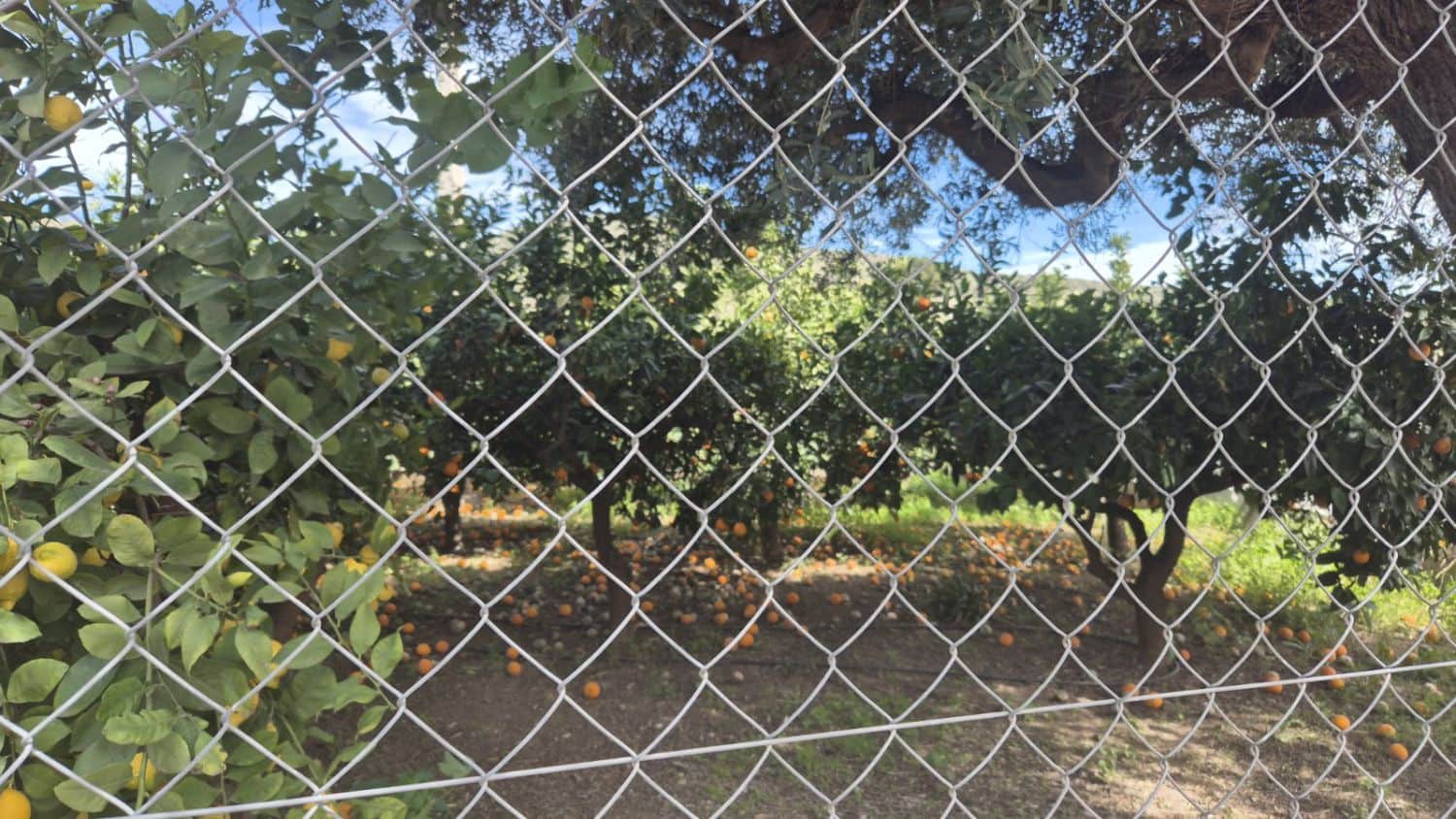 4 bedroom Finca/Country House for sale in Los Gallardos with garage - € 185,000 (Ref: 8906519)