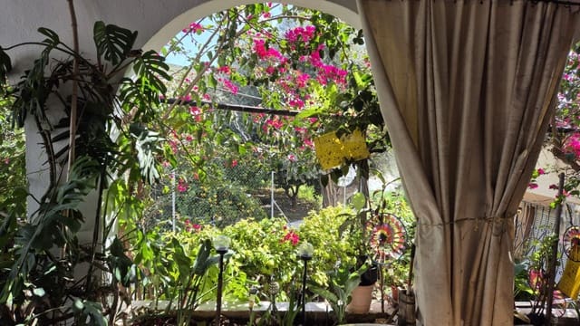 4 soveværelse Finca/Landehus til salg i Los Gallardos med garage - € 185.000 (Ref: 8906519)