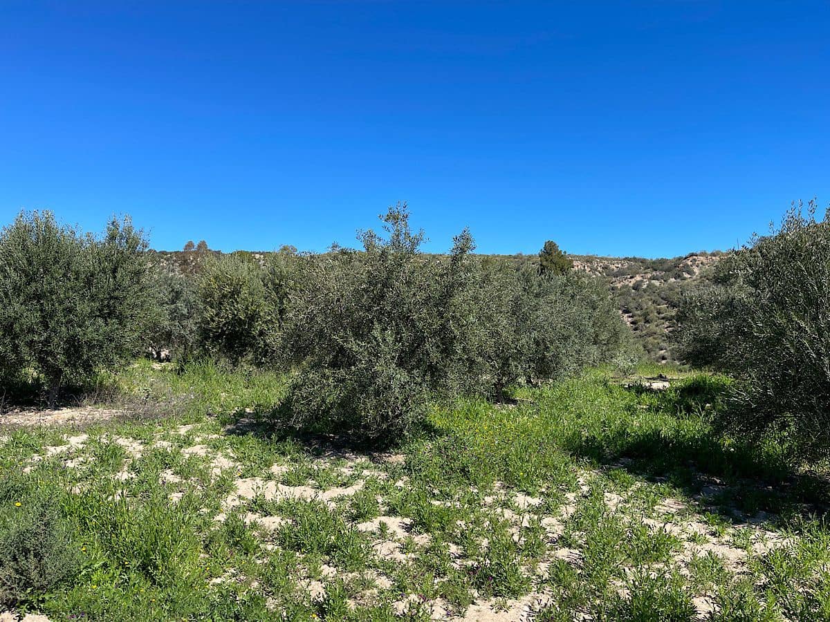 Grunde uden byggetilladelser til salg i Sorbas - € 85.000 (Ref: 8932570)