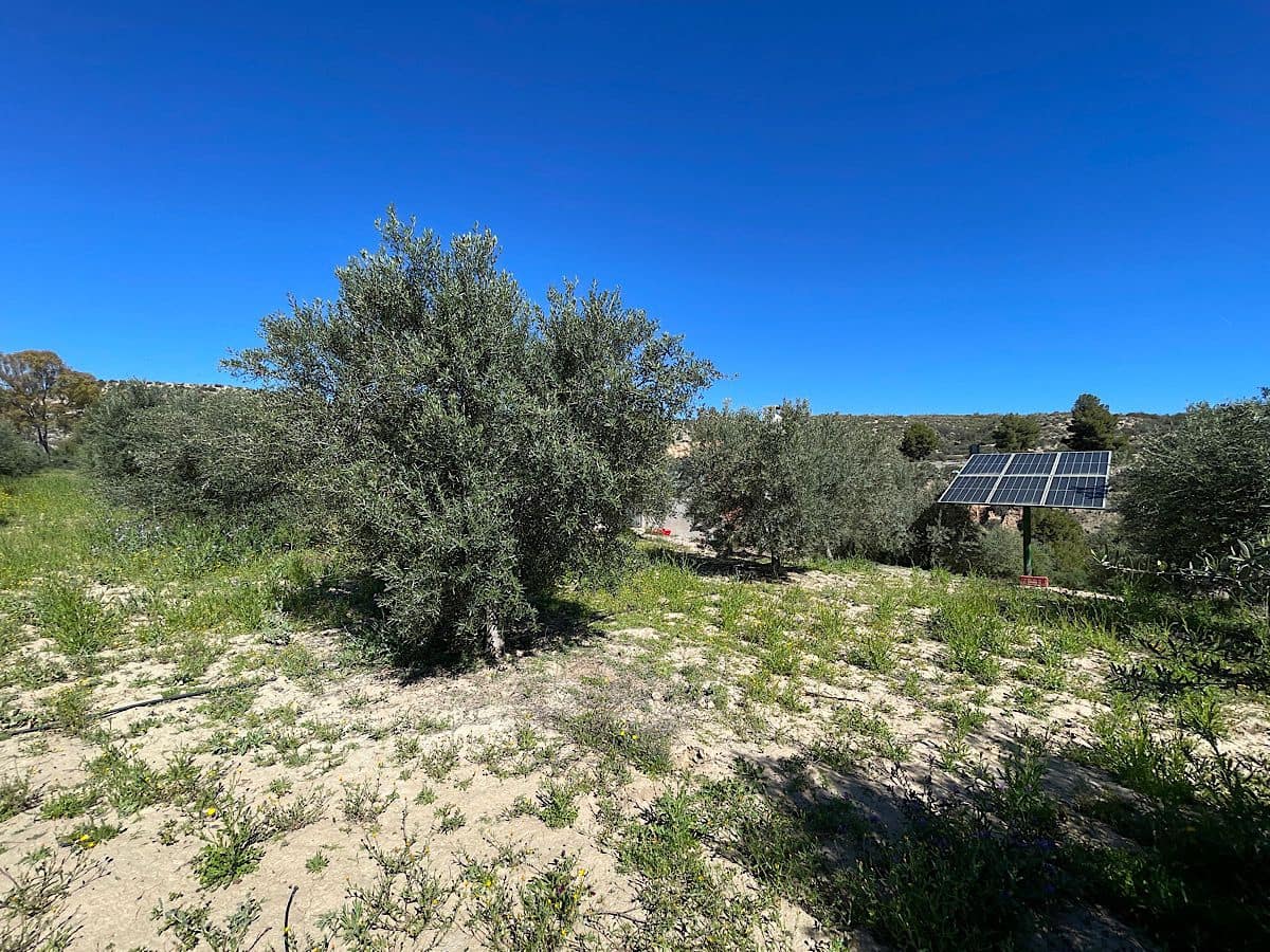 Grunde uden byggetilladelser til salg i Sorbas - € 85.000 (Ref: 8932570)