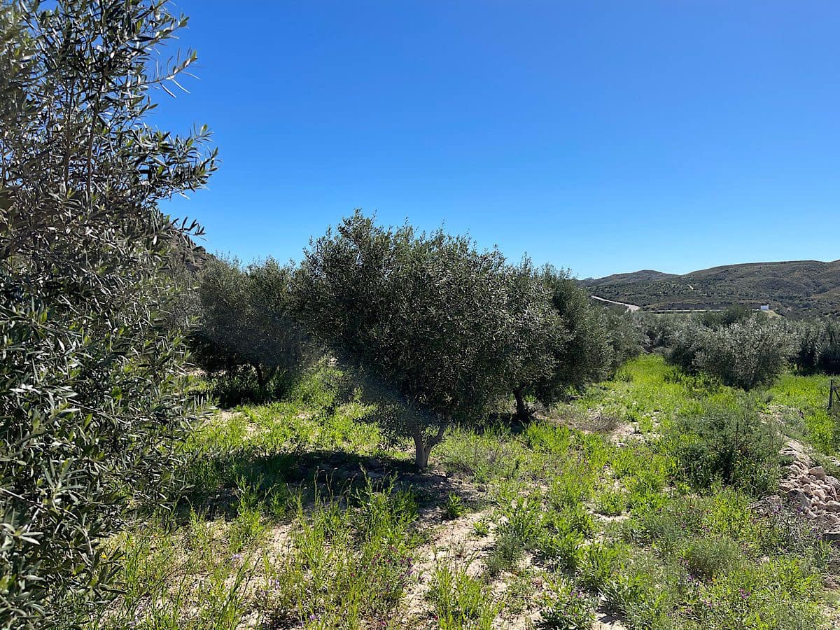 Grunde uden byggetilladelser til salg i Sorbas - € 85.000 (Ref: 8932570)