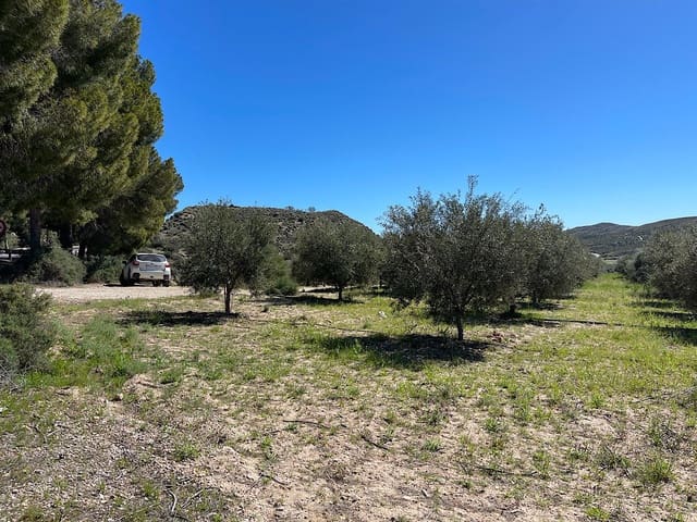Undeveloped Land for sale in Sorbas - € 85,000 (Ref: 8932570)