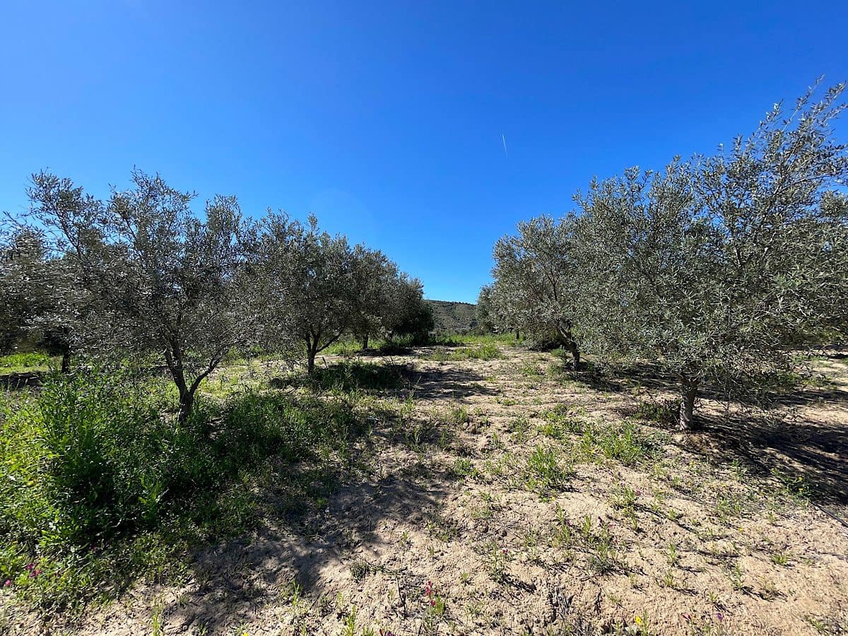 Grunde uden byggetilladelser til salg i Sorbas - € 85.000 (Ref: 8932570)