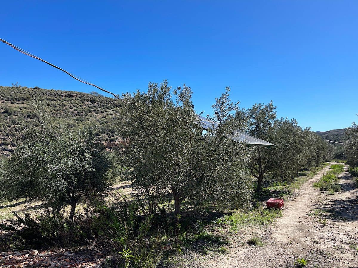 Grunde uden byggetilladelser til salg i Sorbas - € 85.000 (Ref: 8932570)