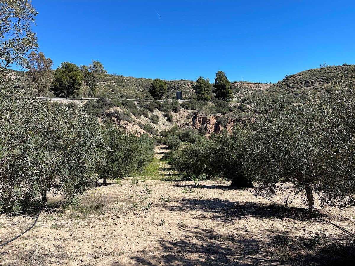 Grunde uden byggetilladelser til salg i Sorbas - € 85.000 (Ref: 8932570)