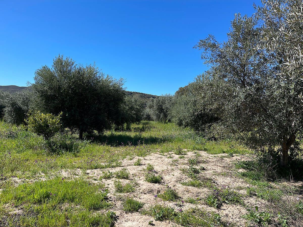 Grunde uden byggetilladelser til salg i Sorbas - € 85.000 (Ref: 8932570)