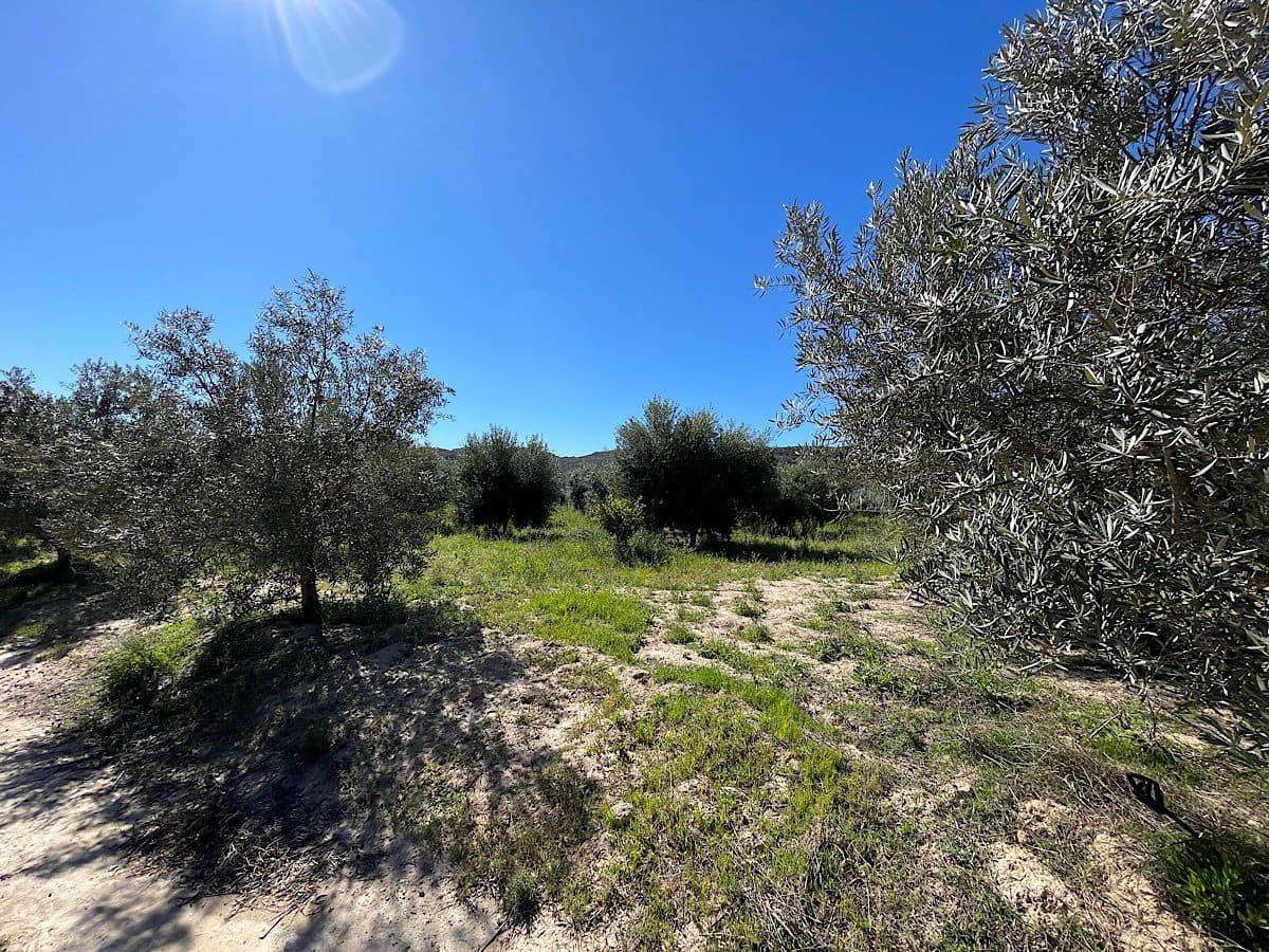 Grunde uden byggetilladelser til salg i Sorbas - € 85.000 (Ref: 8932570)