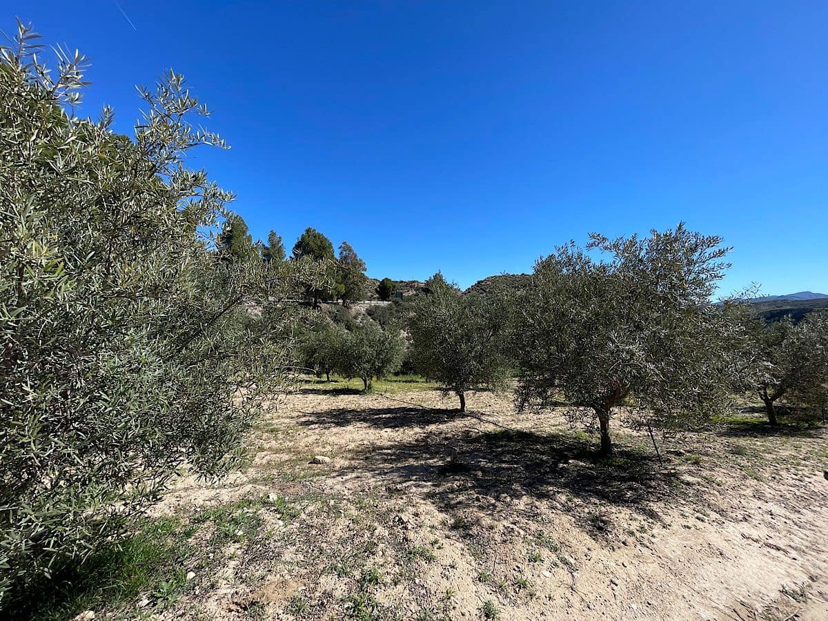 Grunde uden byggetilladelser til salg i Sorbas - € 85.000 (Ref: 8932570)