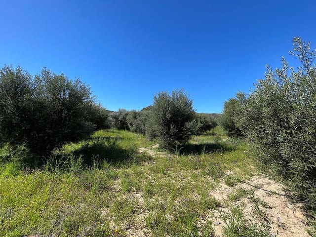 Undeveloped Land for sale in Sorbas - € 85,000 (Ref: 8932570)