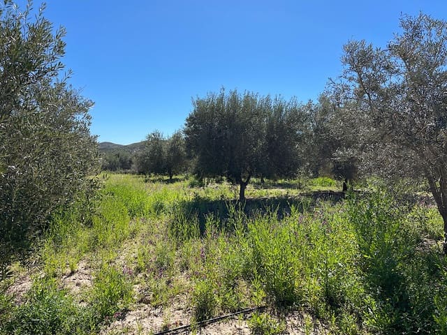 Undeveloped Land for sale in Sorbas - € 85,000 (Ref: 8932570)