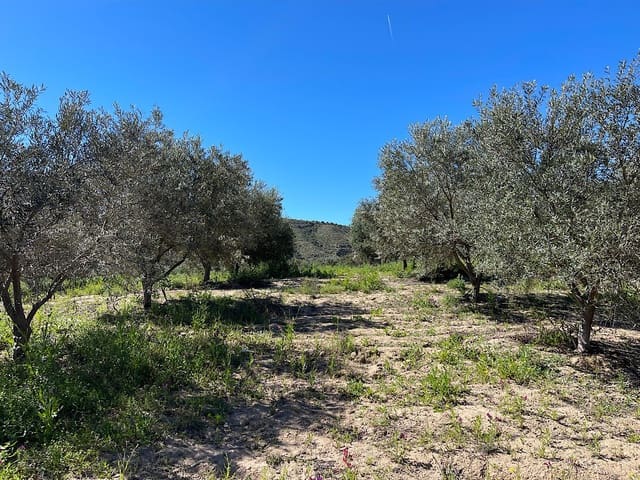 Undeveloped Land for sale in Sorbas - € 85,000 (Ref: 8932570)