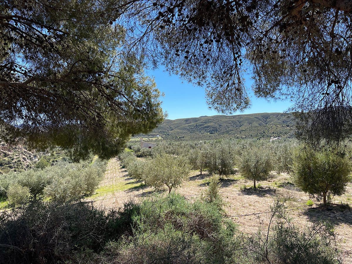 Grunde uden byggetilladelser til salg i Sorbas - € 85.000 (Ref: 8932570)