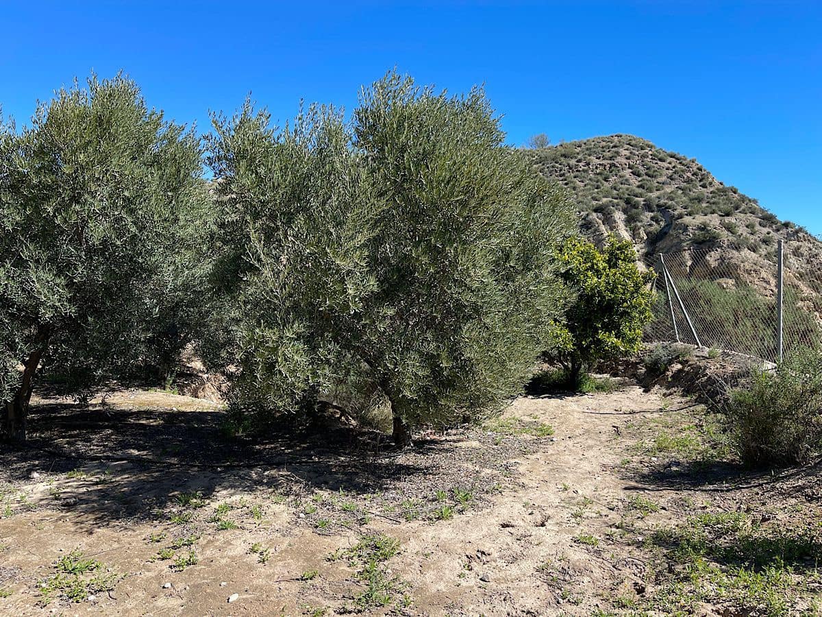 Grunde uden byggetilladelser til salg i Sorbas - € 85.000 (Ref: 8932570)