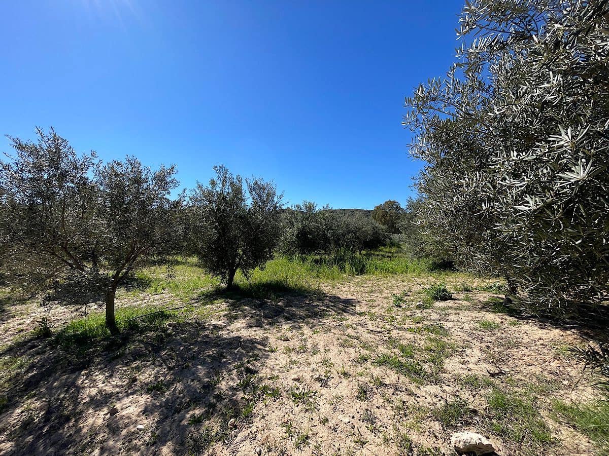 Grunde uden byggetilladelser til salg i Sorbas - € 85.000 (Ref: 8932570)