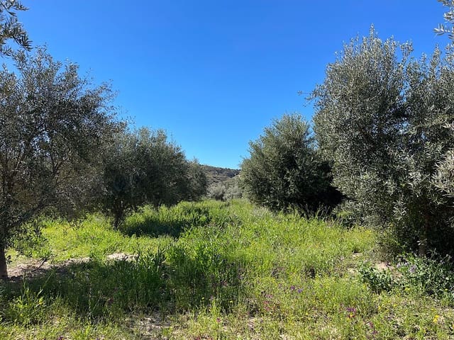 Undeveloped Land for sale in Sorbas - € 85,000 (Ref: 8932570)
