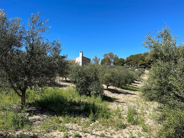 Undeveloped Land for sale in Sorbas - € 85,000 (Ref: 8932570)