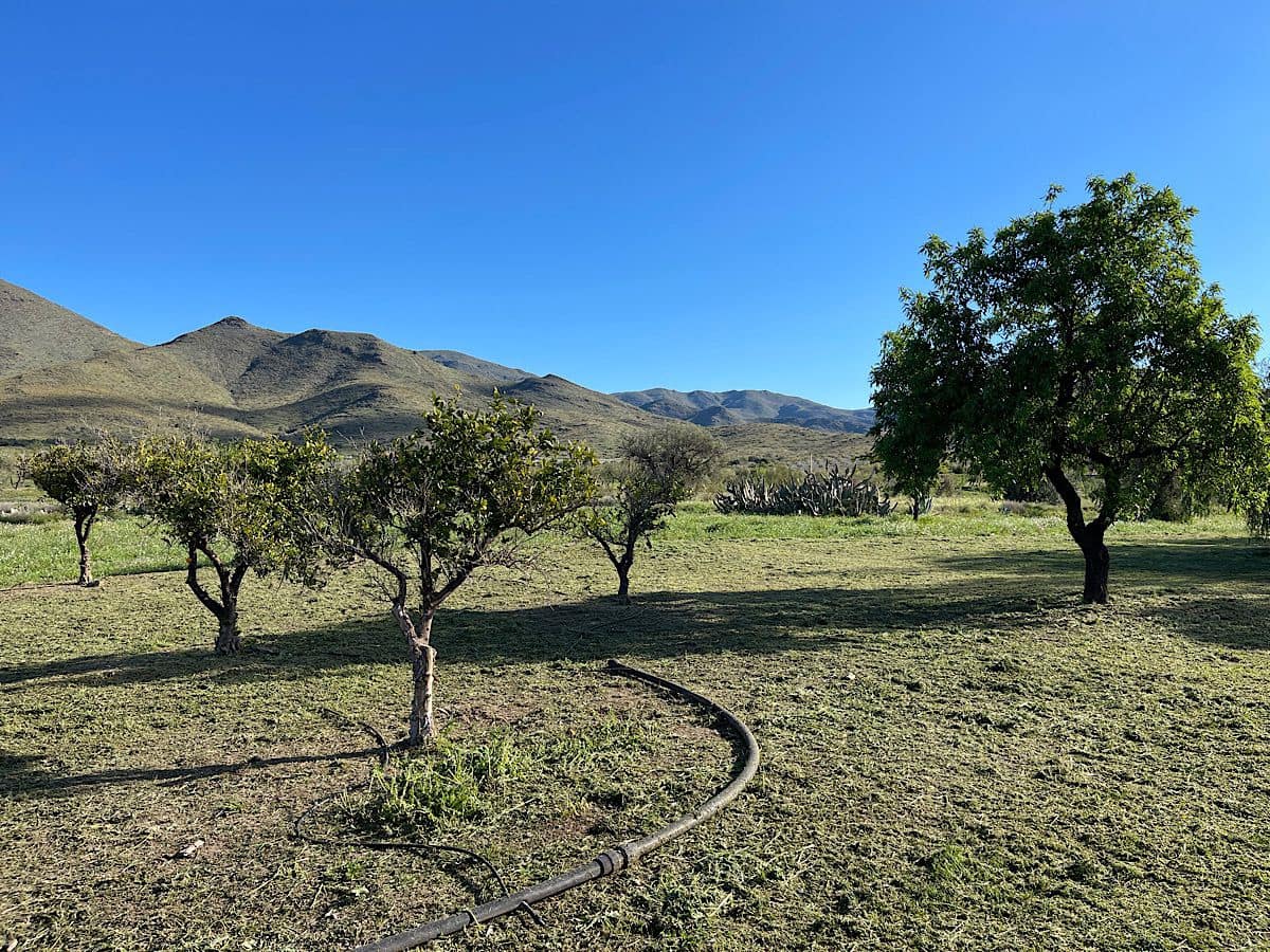 4 soveværelse Finca/Landehus til salg i Uleila del Campo med garage - € 395.000 (Ref: 8941185)