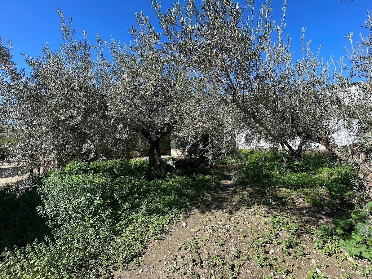 4 soveværelse Byhus til salg i Cariatiz med garage - € 149.950 (Ref: 8960360)