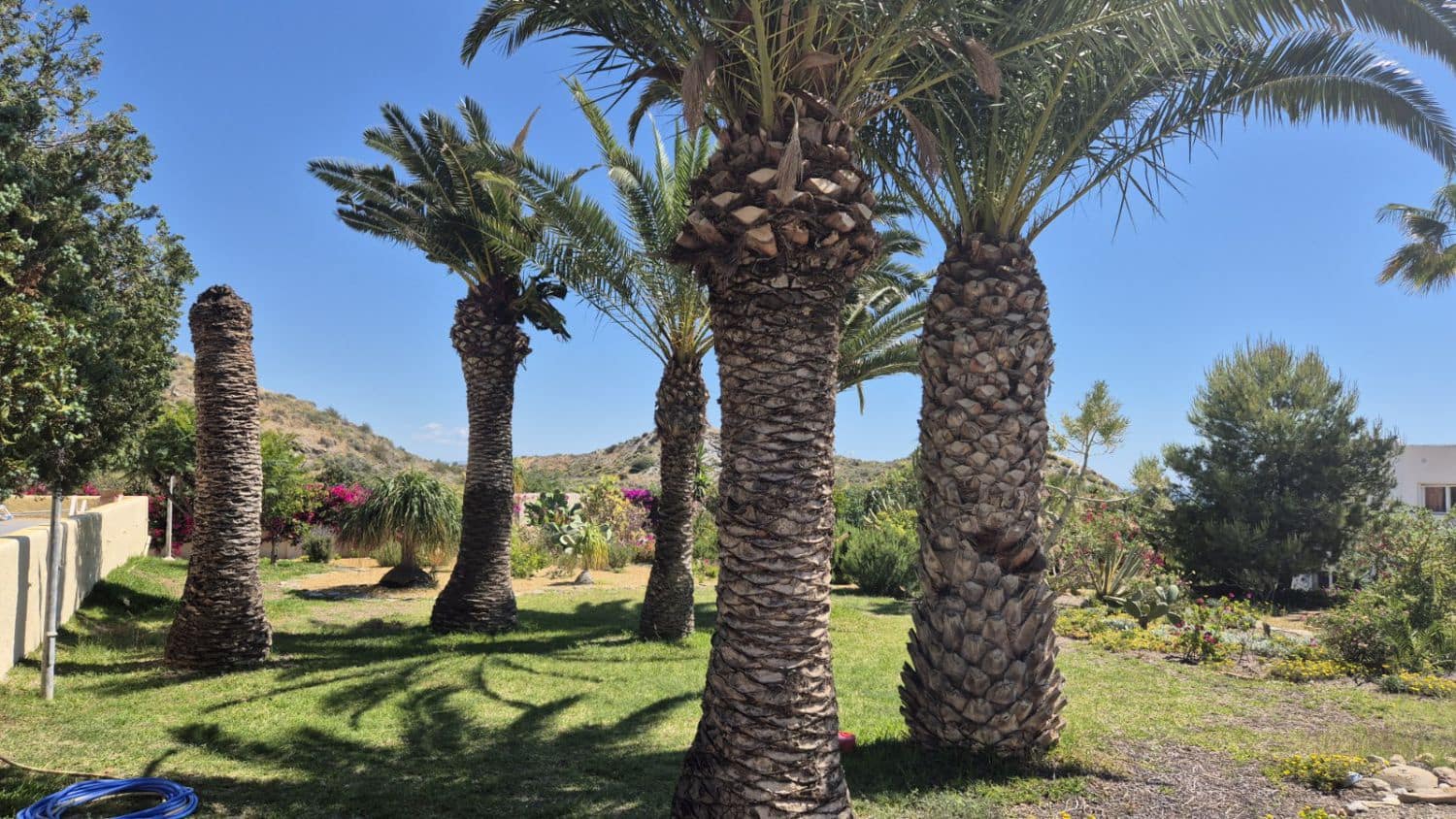 3 soveværelse Finca/Landehus til salg i Mojacar med garage - € 695.000 (Ref: 9001848)